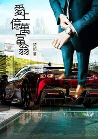 亿万富翁爱上我 小说
